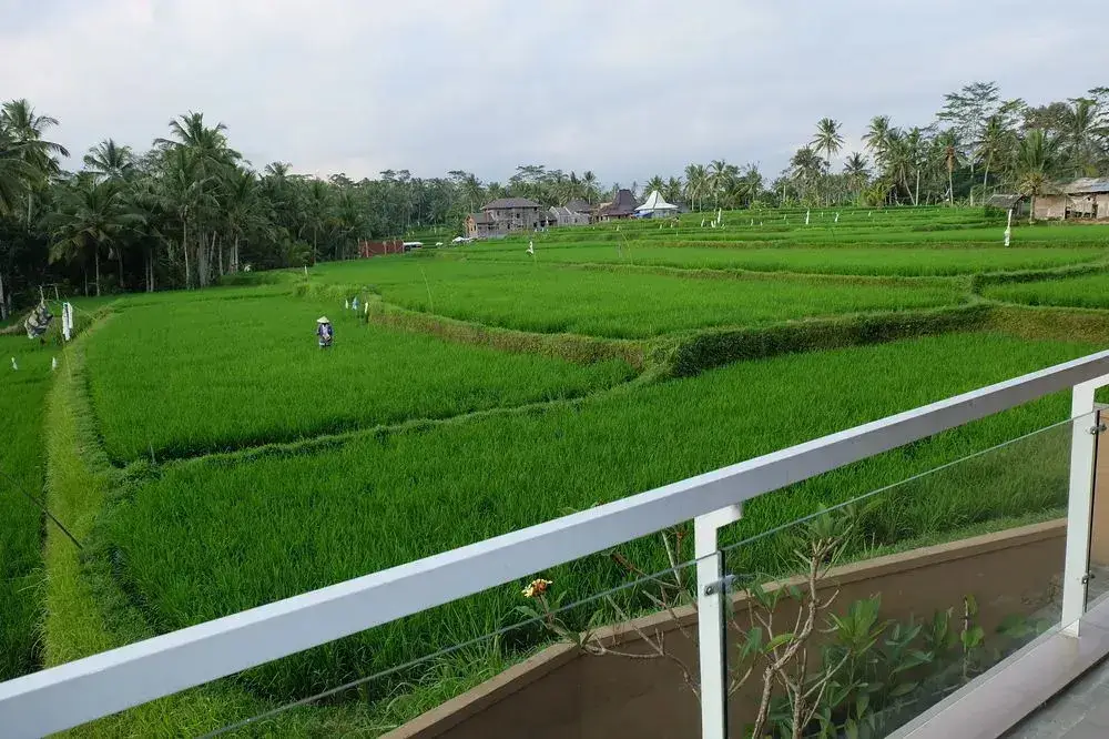 Убуд: Green fields Luxury Villas