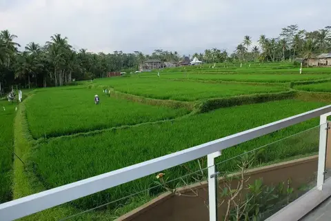 Green fields Luxury Villas — фото 1