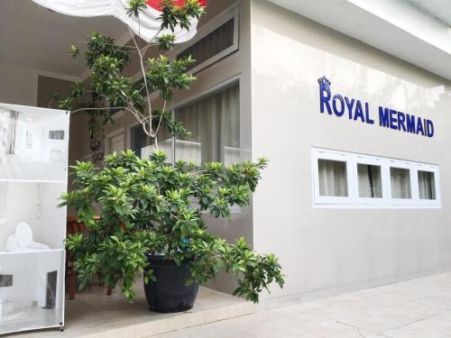 Royal Mermaid — фото 1