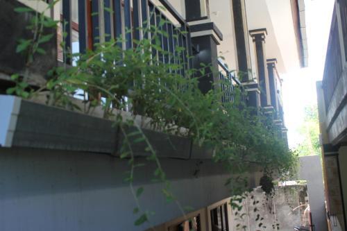 Чангу: Putra Dadi Guest House