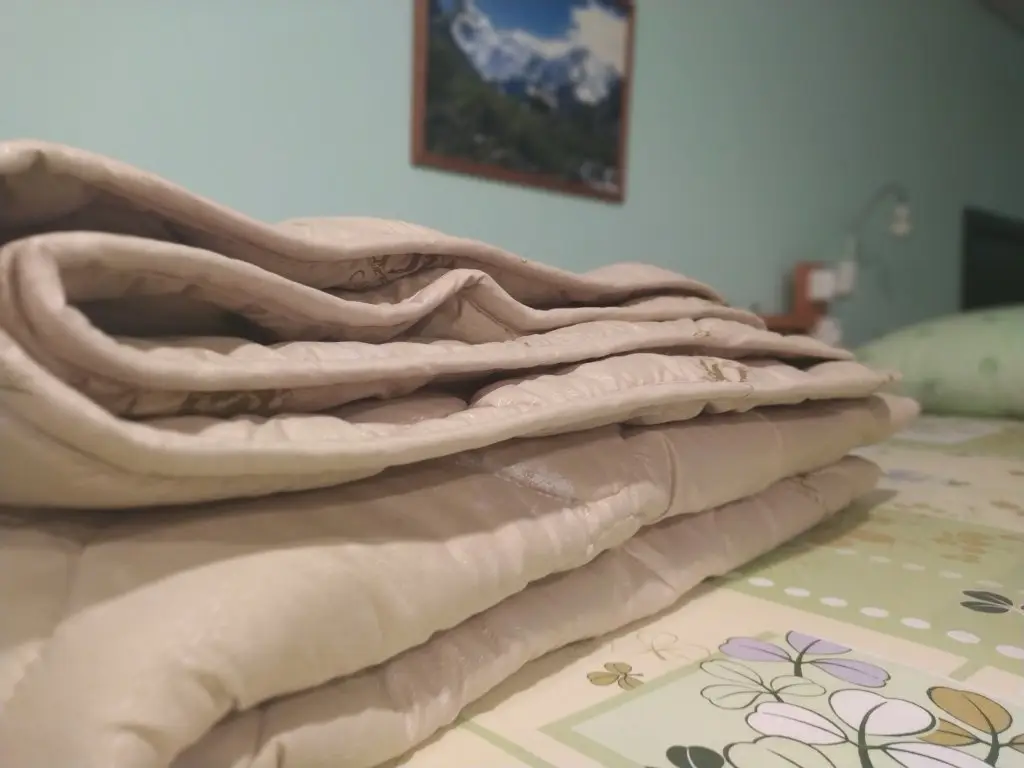 Куса: Хостел Аргус