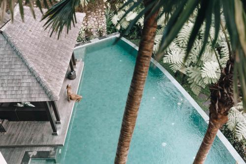 Убуд: Villa Naga Putih