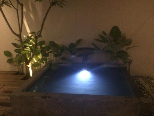 Джокьякарта: The Patio Yogya