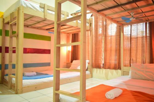 Боробудур: DoDo Backpacker Hostel Borobudur