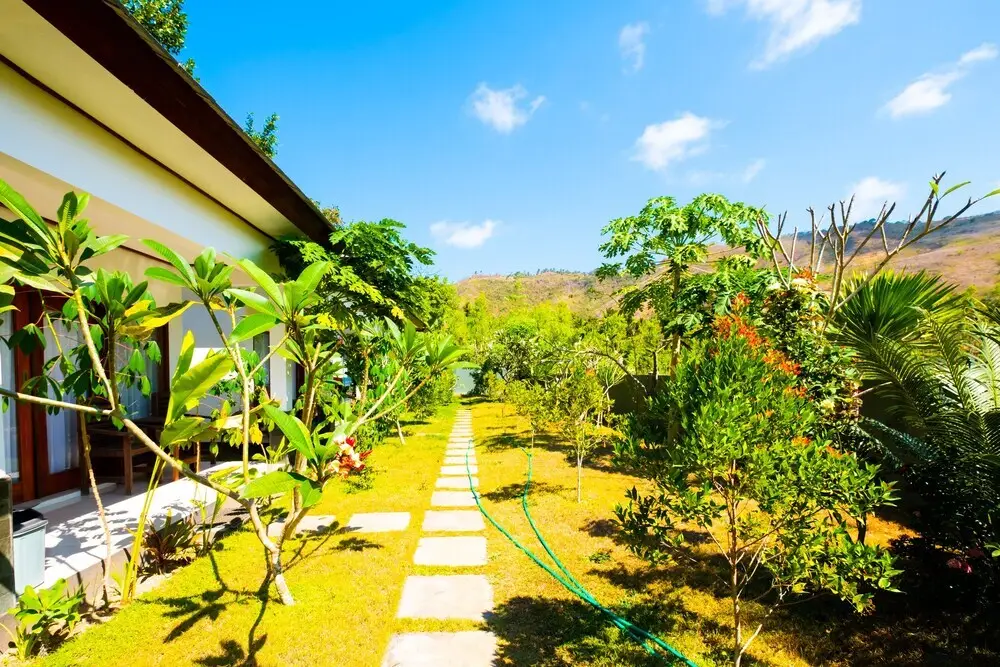 Sammy Homestay by OYO Rooms — фото 1