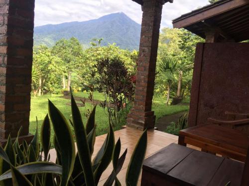 Джатилуви: Homestay Jatiluwih 259