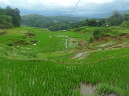 Рантепао: Indo 'Sella' Homestay