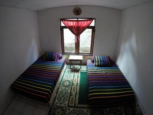 Палангкарая: Sera's Homestay
