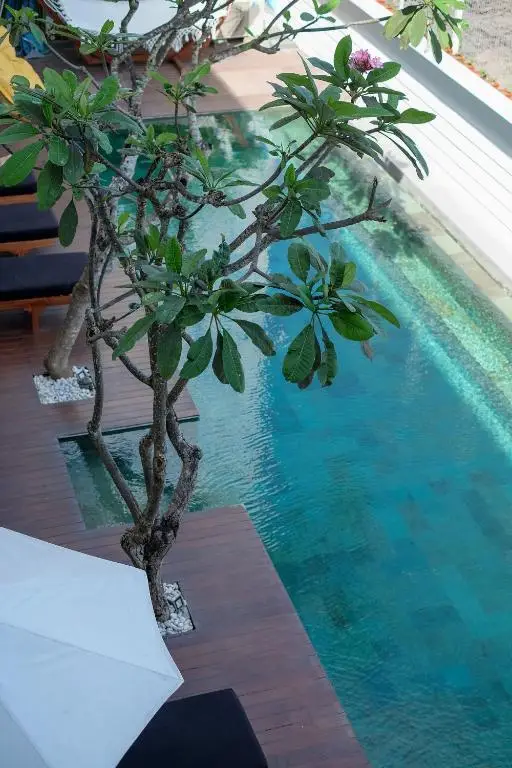 Чангу: Dip & Doze Boutique Hostel