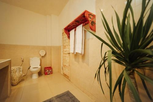 Гили Траванган: Compass Divers Hostel
