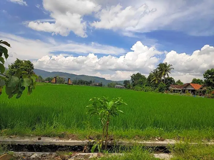 Батуретно: Akar Wangi 2 Homestay