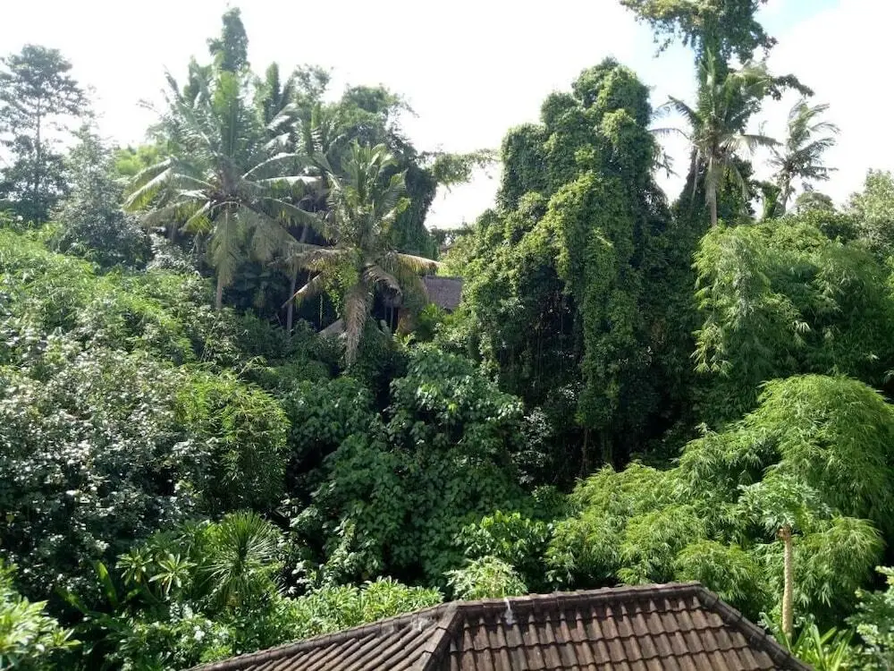 Убуд: Karma House Ubud