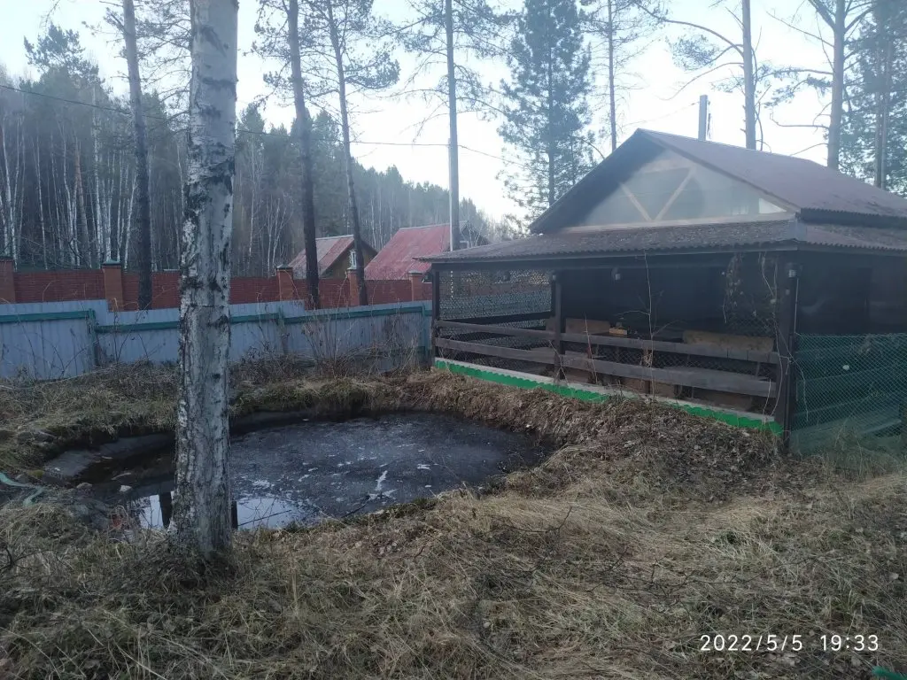 Мангутай: База отдыха Байкальский кедр