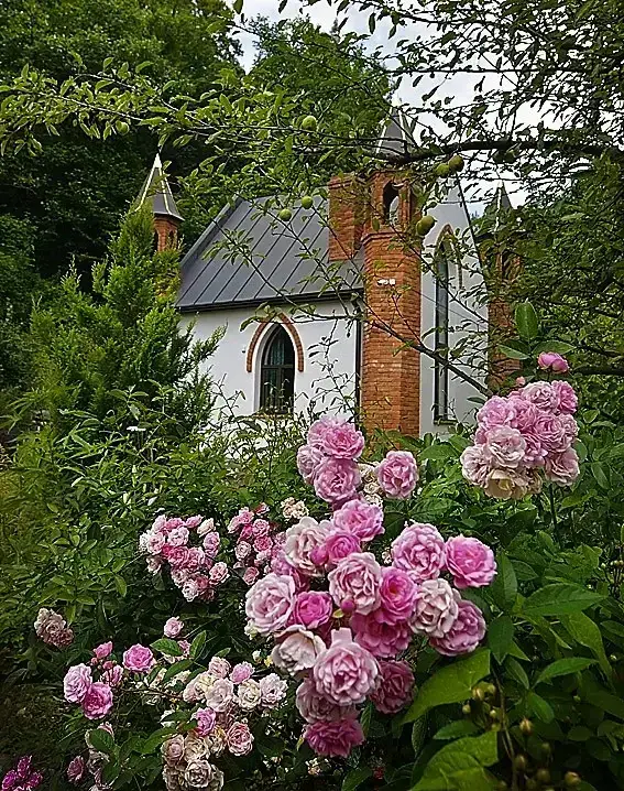 База отдыха База Земля — фото 1