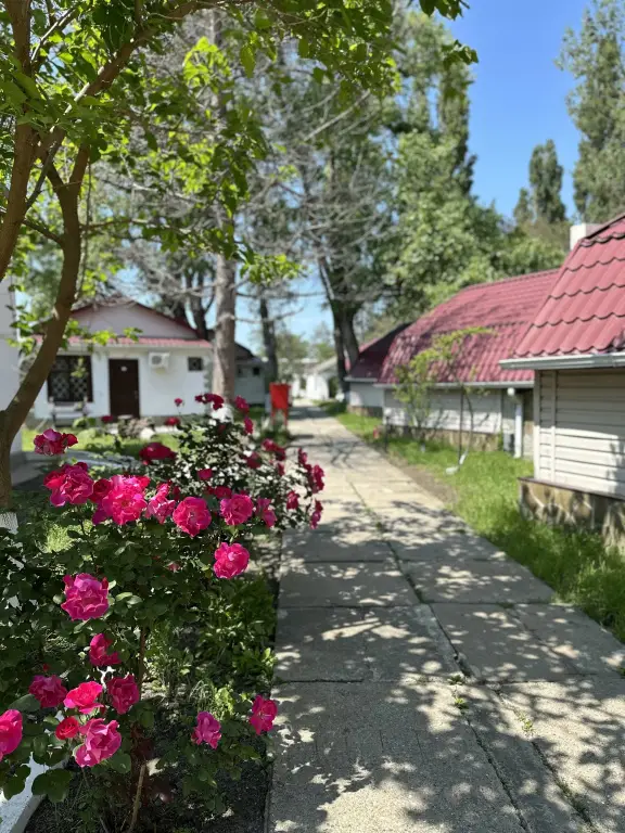 Анапа: База отдыха Динамо 2