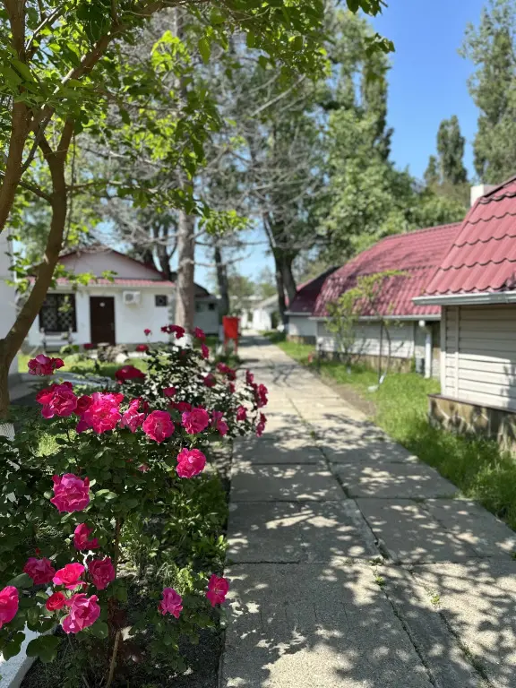 Анапа: База отдыха Динамо 2