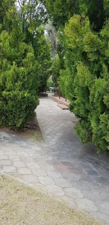Анапа: База отдыха Ланги Анапа
