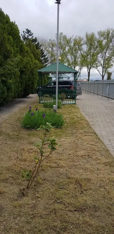 Анапа: База отдыха Ланги Анапа