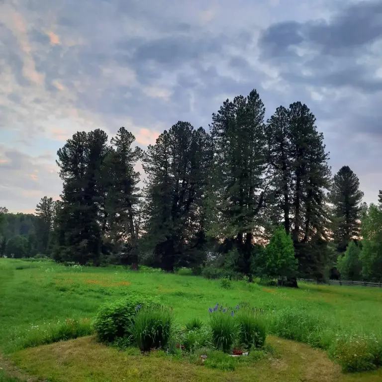 Кузя: База отдыха Агроусадьба Тайга