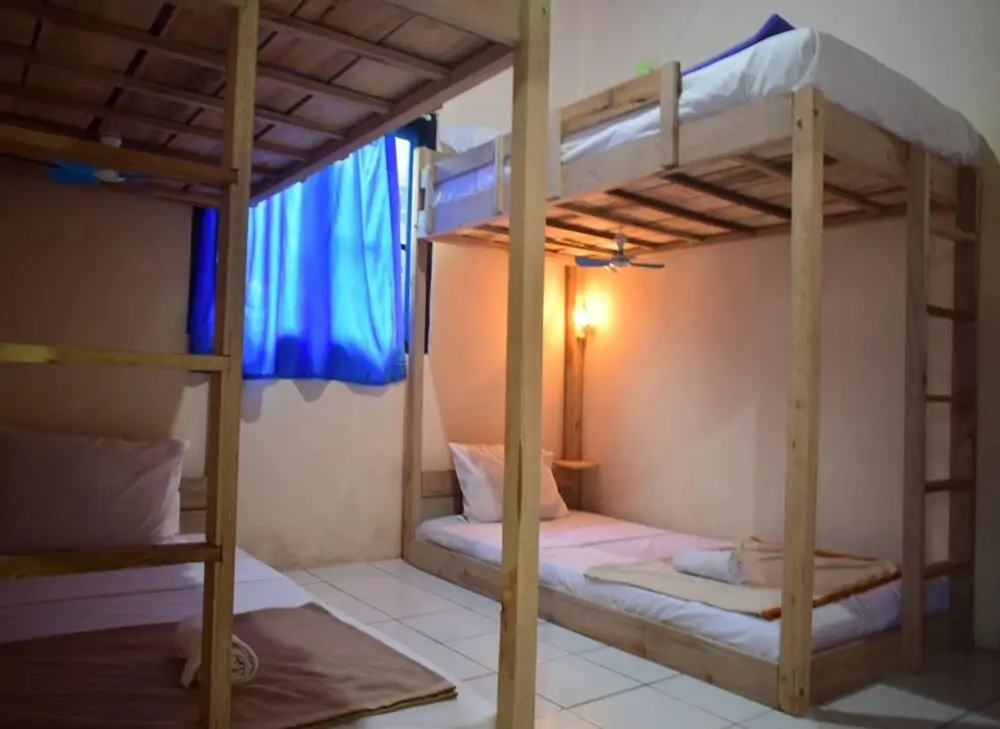 Боробудур: Dodo Dormitory Backpacker