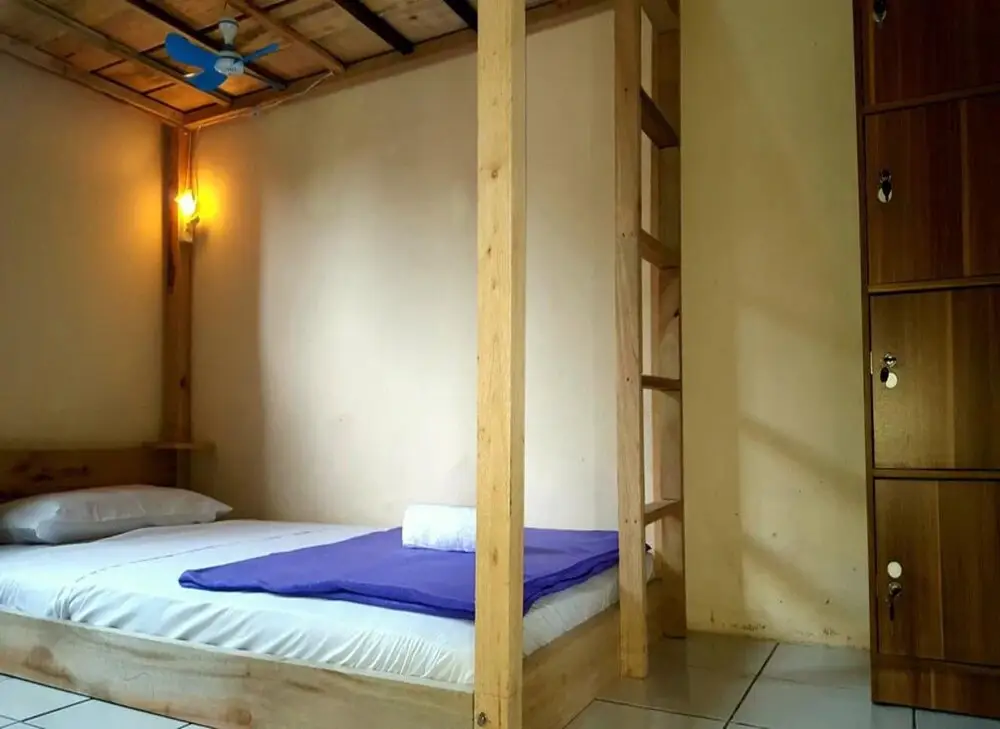Боробудур: Dodo Dormitory Backpacker