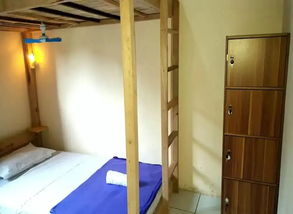 Боробудур: Dodo Dormitory Backpacker
