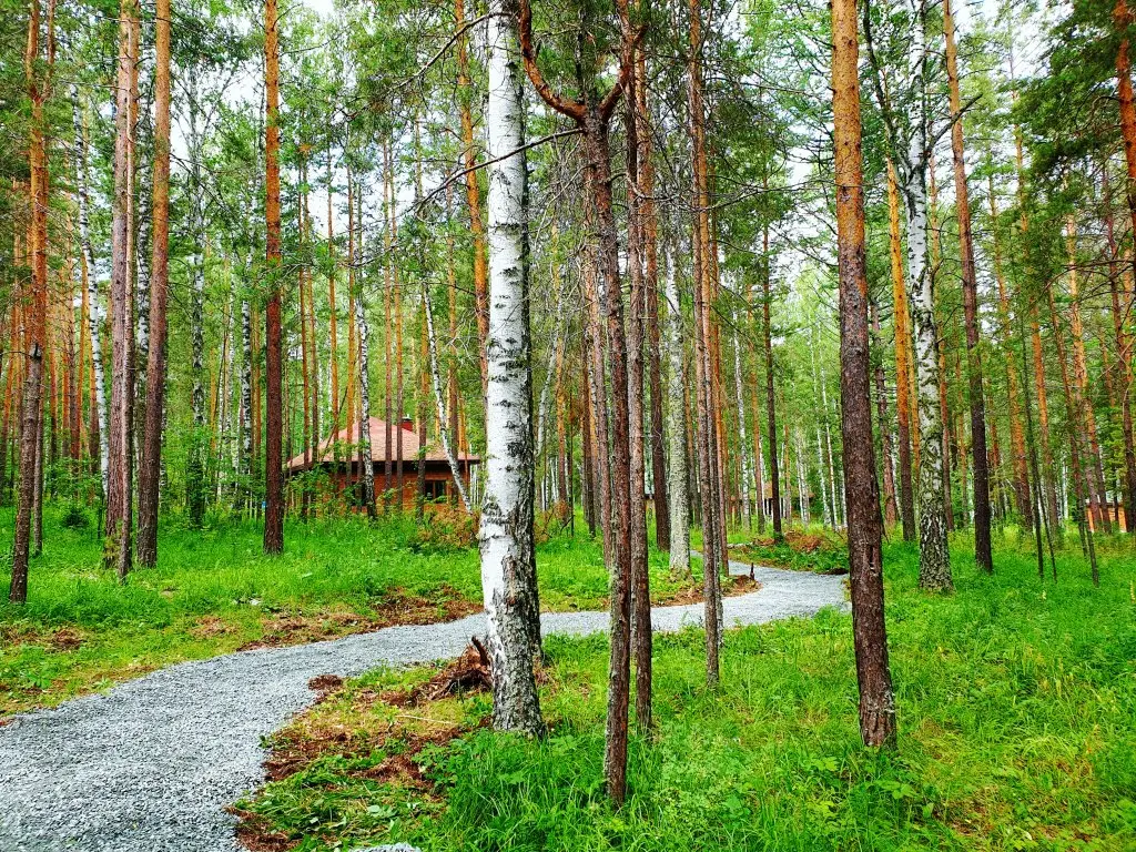 Абзаково: База отдыха Лапландия