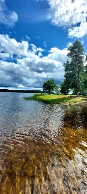 Осташков: Гостевой Дом Шишки