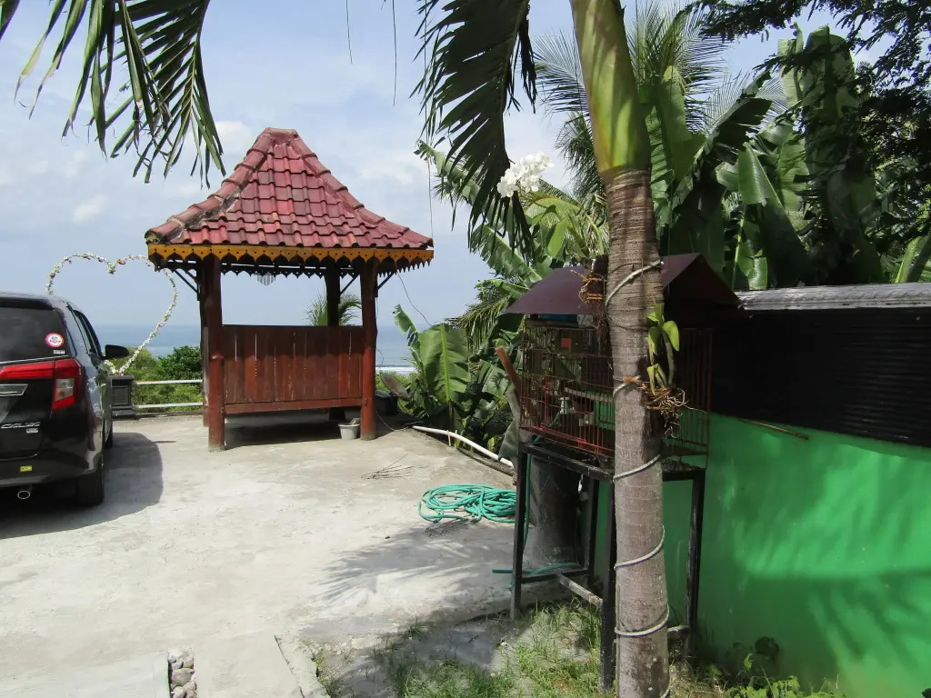 Парангтритис: Losmen Kinasih Puncak & Gazebo Pandang