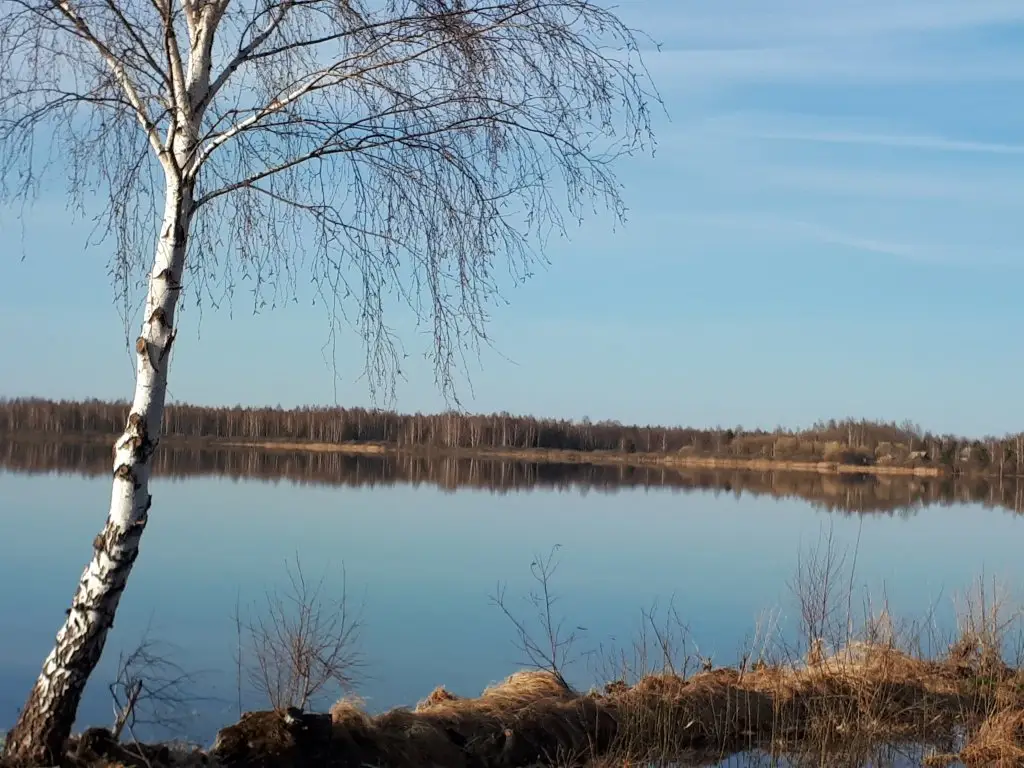 Спас-Клепики: База Отдыха Белозерье