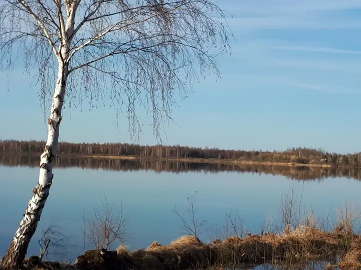 Спас-Клепики: База Отдыха Белозерье