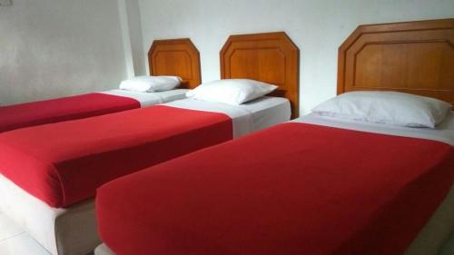 Букиттинги: Hotel Asia