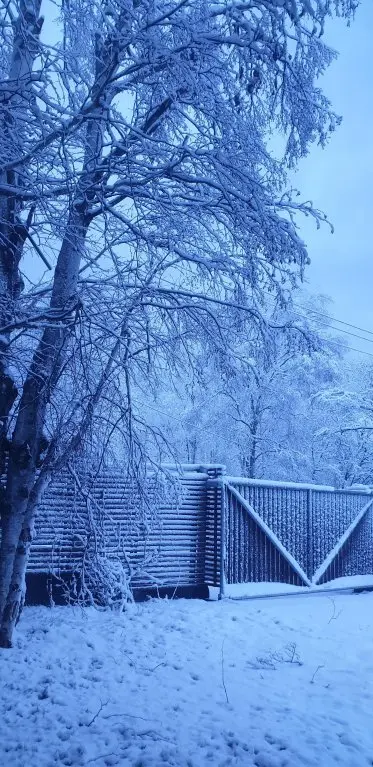 Южно-Сахалинск: Отель Белый Снег - White Snow