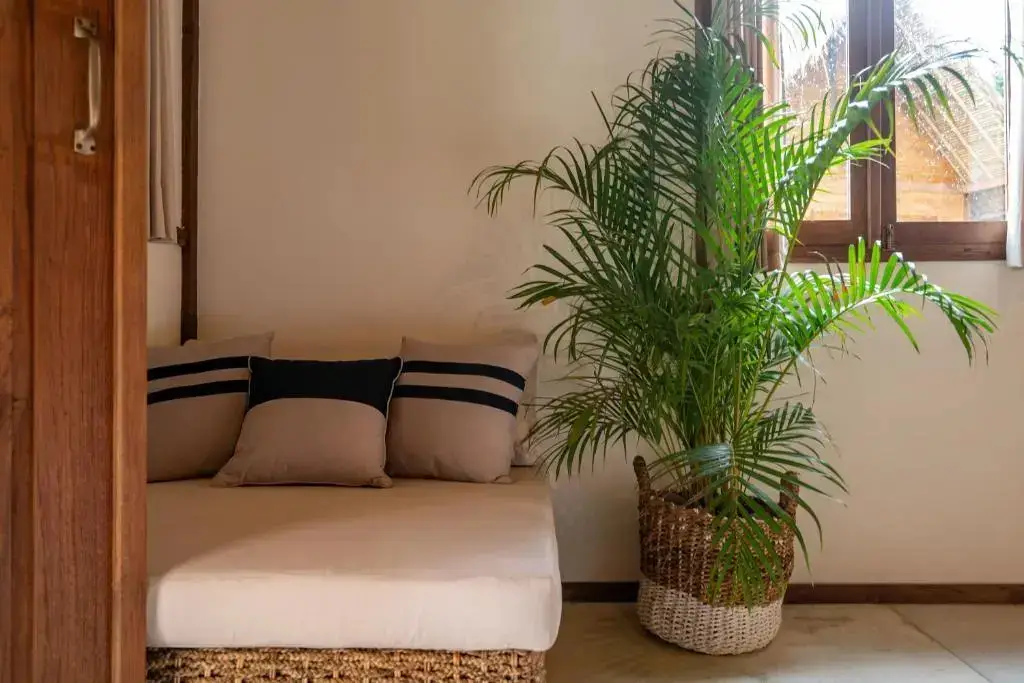 Пекату: Green Escape Eco Resort