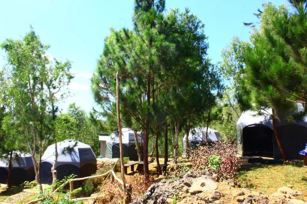 Батуретно: Bukit Lintang Sewu Domping