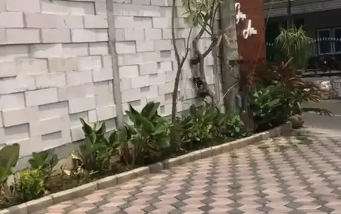 Villa Bintang — фото 1