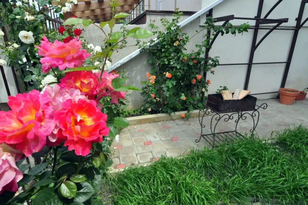 Анапа: Besedka U Morya Guest House