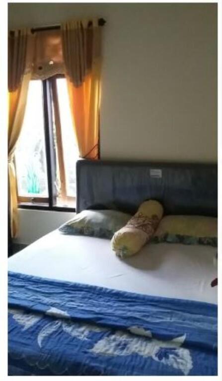 Калипуро: KAMI Hostel