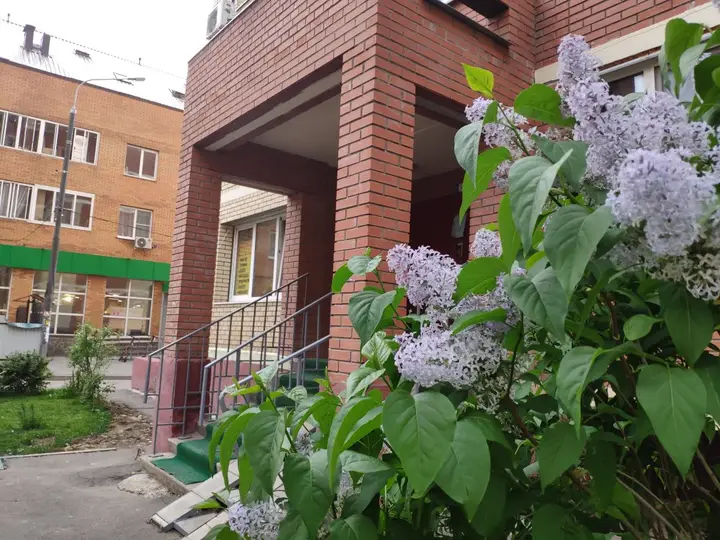 Андреевка: Апартаменты на Староандреевской