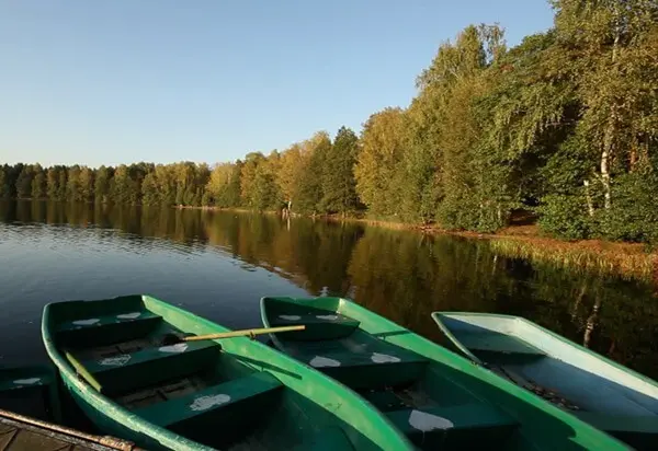 Большое Буньково: Borovoe (Mos.obl)