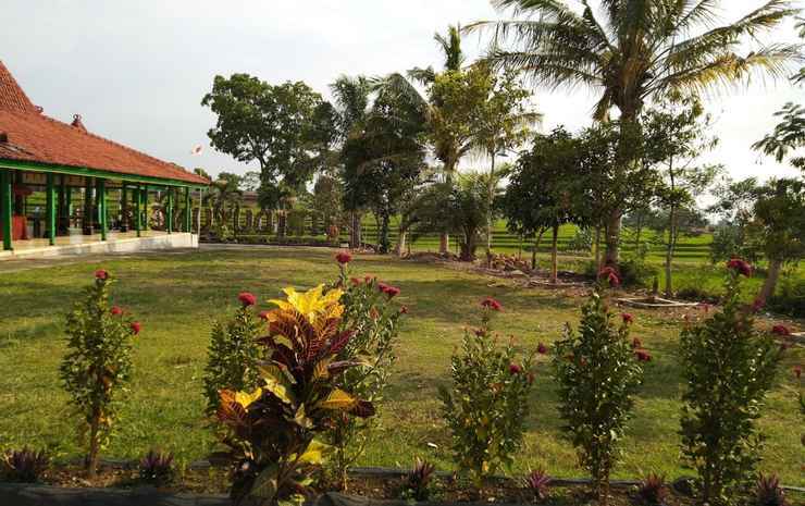 Putri Duyung Guest House — фото 1