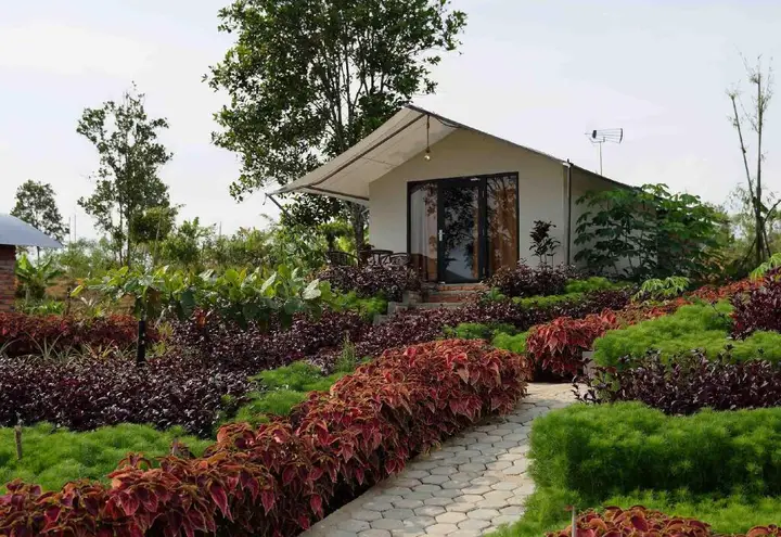 Остров Пеньенгат: DBambooKamp Desa Wisata Ekang