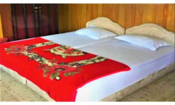Озеро Тоба: Hotel Toba Nauli
