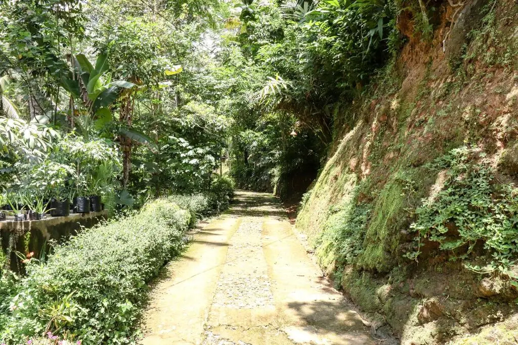 Харготирто: Homestay Yoto