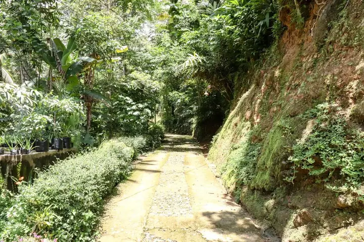 Харготирто: Homestay Yoto