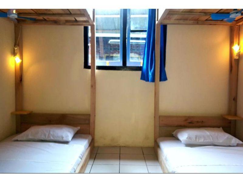 Боробудур: Dodo Dormitory Backpacker