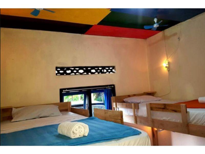 Боробудур: Dodo Dormitory Backpacker