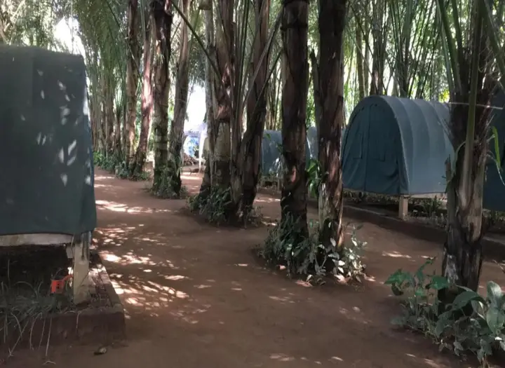 Таро: Tegal Dukuh Camp