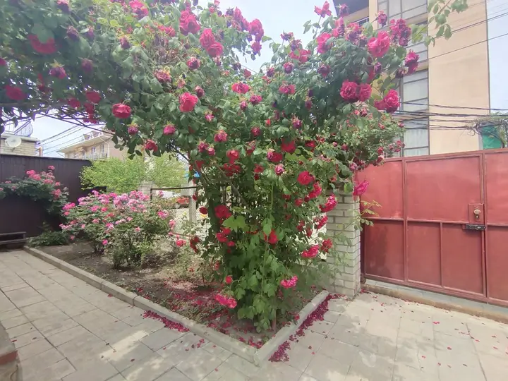 Анапа: Жилое помещение Песчаная