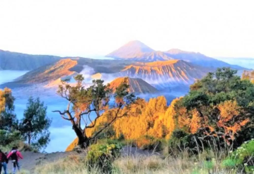 Остров Менджанган: Intan Ijen Guest House